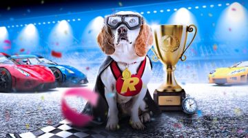 rizk casino rizk race