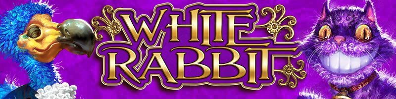 White rabbit banner hos spelacasino.com