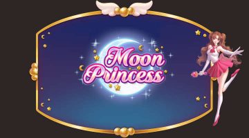 moon princess banner