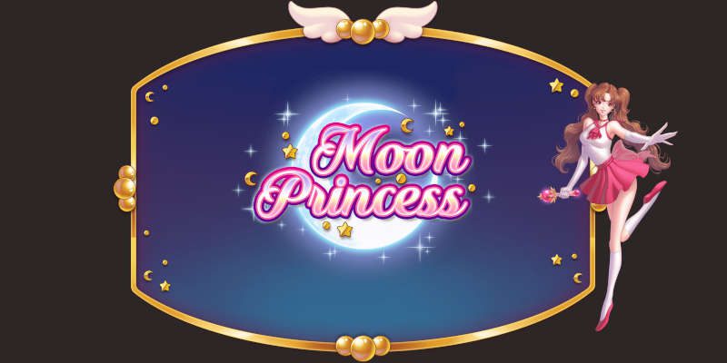 moon princess banner