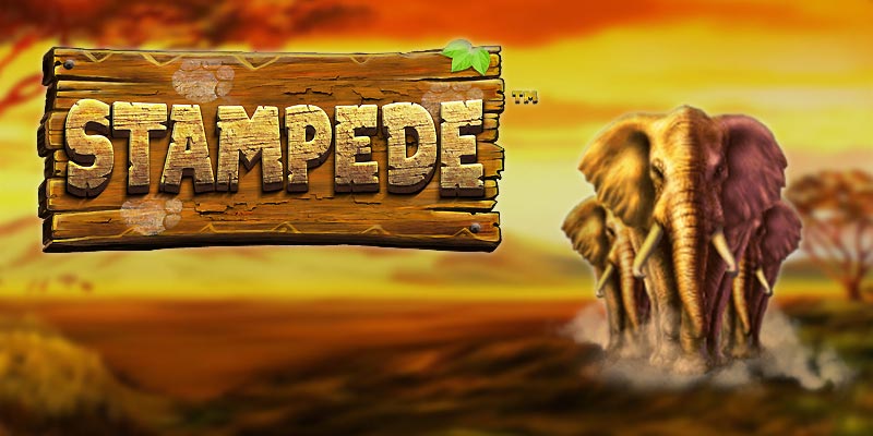 slot med galna elefanter hos www.spelacasino.com