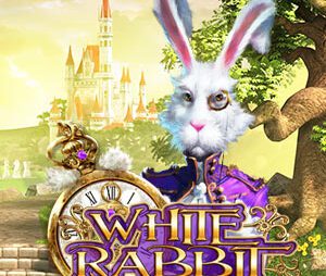 White rabbit