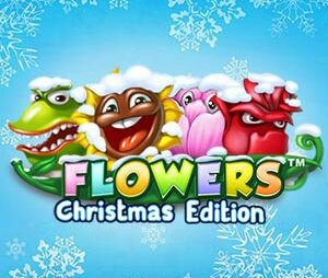 Flowers Christmas Edition