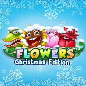 Flowers Christmas Edition